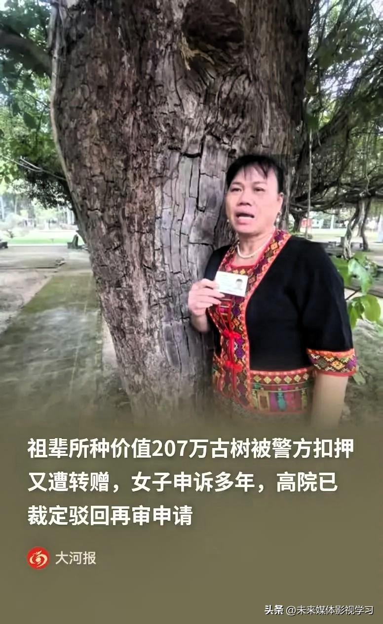 海南，白沙县的符大姐，家里有棵祖上传下来的百年重阳树，专门找人评估过，价值207