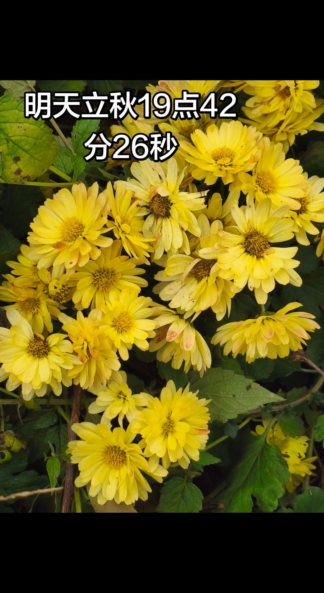 春风，夏雨，冬雪，那秋天就是“秋韵”，囊括了所有的景色！
春花，夏长，秋收，冬藏