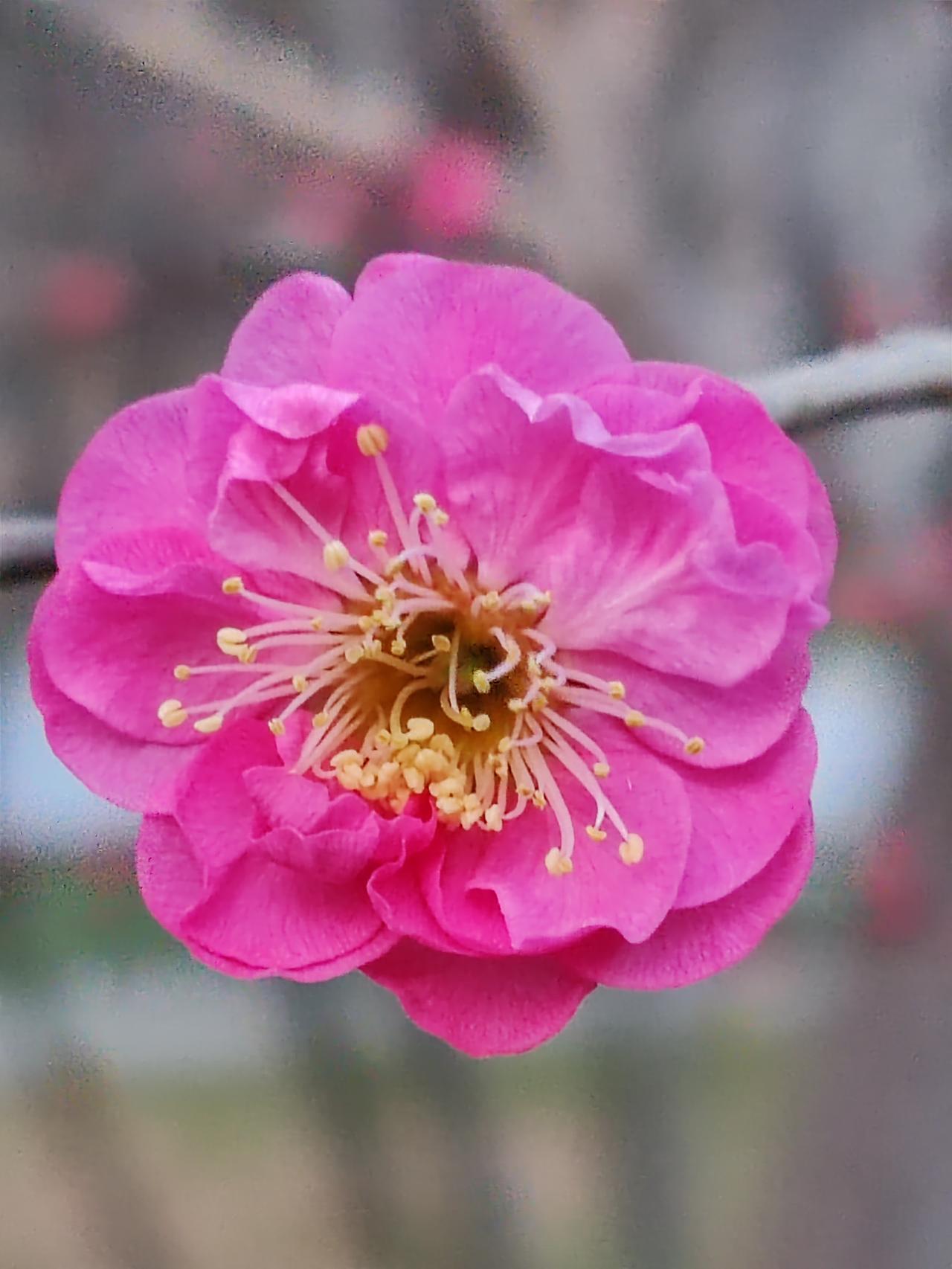 钱充裕，礼数就周全些；钱有限，礼数便从简些。过年，花三千能过，花五千能过，花一万