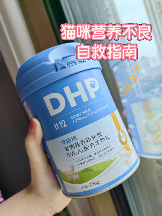 🚨折耳猫家长紧急集合！