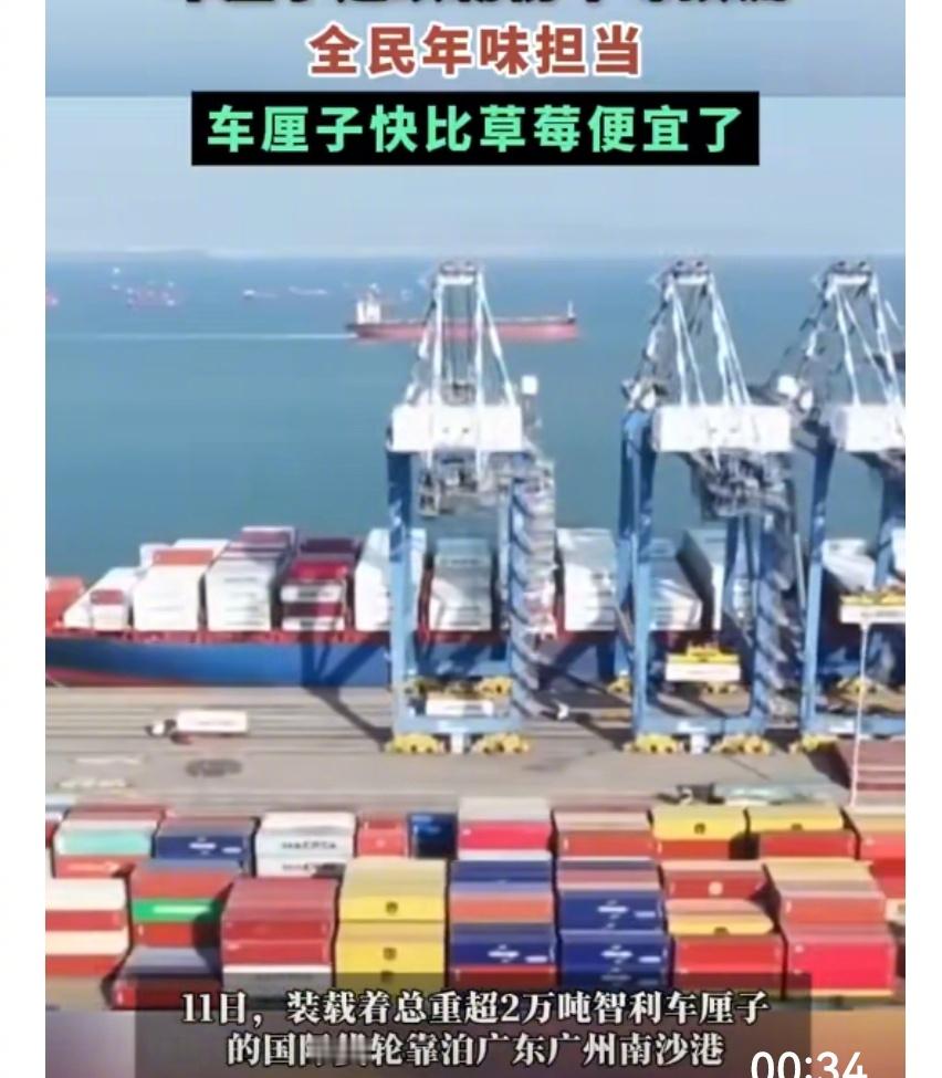 车厘子快比草莓便宜了  车厘子为何又连续霸榜年味顶流  智利车厘子，以万吨计地到