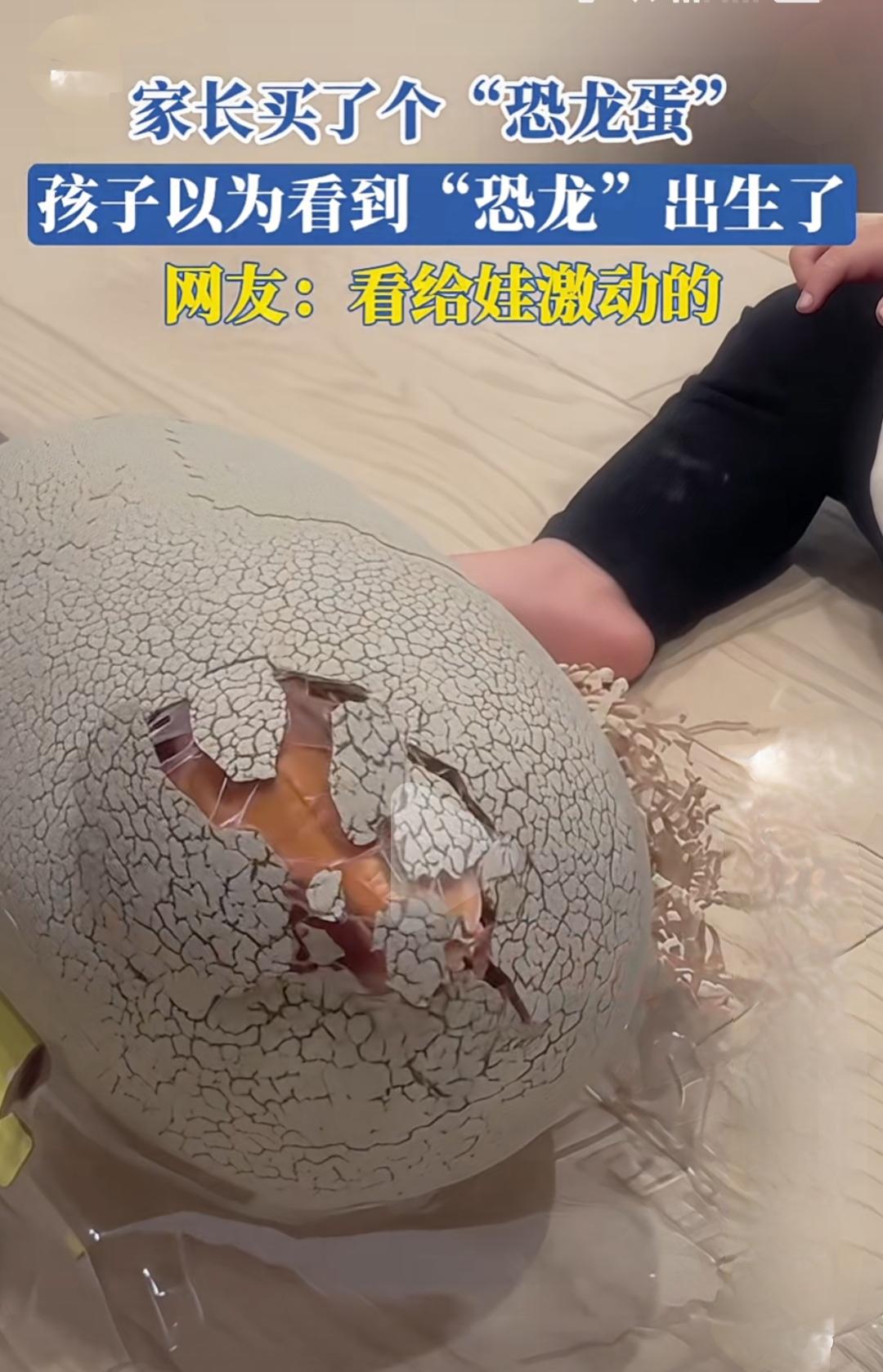 家长买了一个看似普通的“恐龙蛋”，没想到竟引发了一场“恐龙复活”大戏！你以为这只