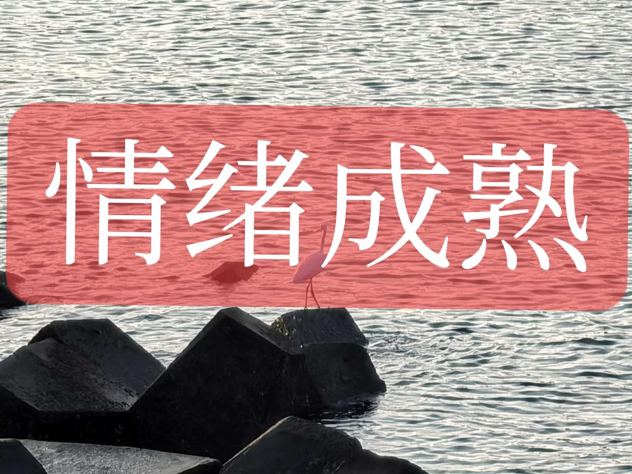 情绪成熟

西贝的热度基本告一段落，最大的感受就是【情绪成熟】是一个人的必修课，