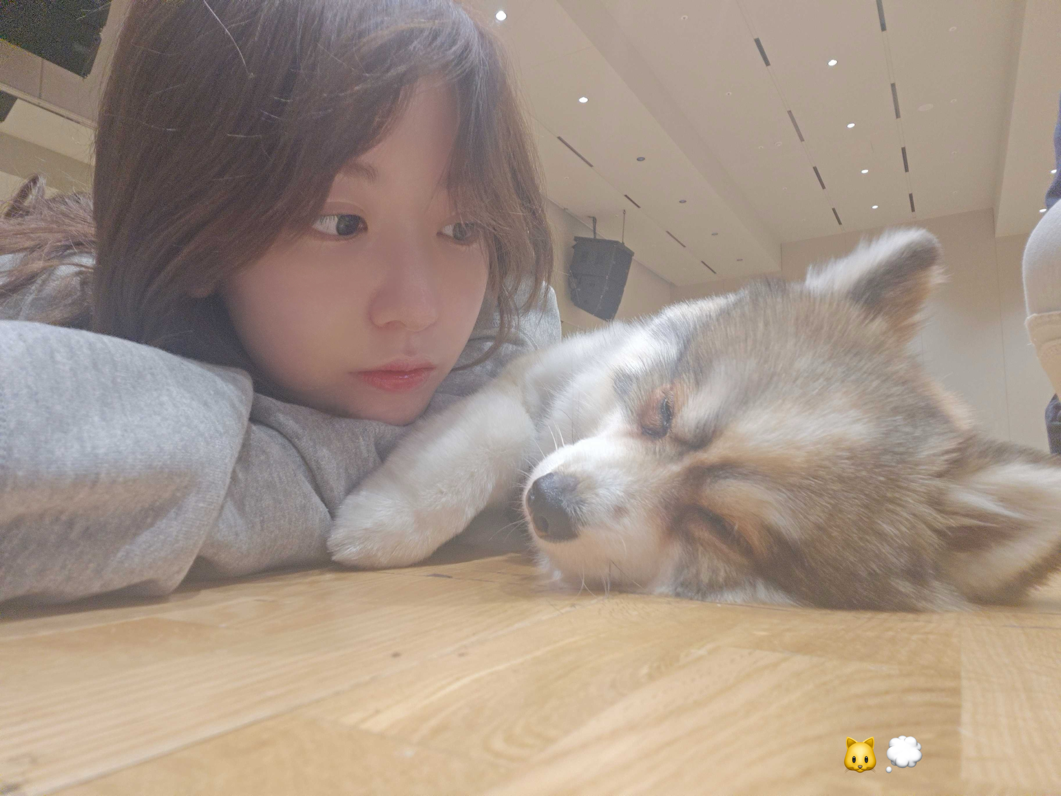 DM昨天的猫猫和狗狗 ​​​