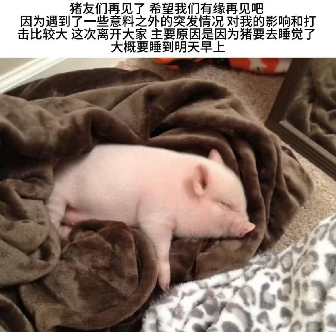困了 我先睡了