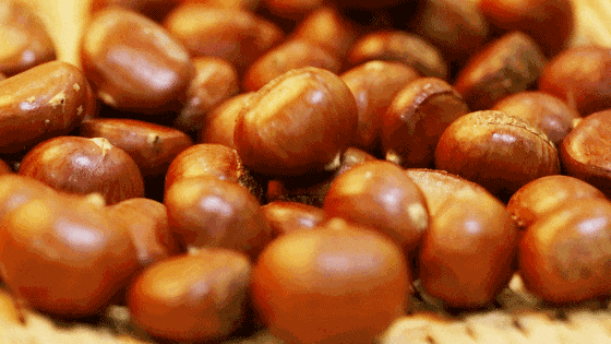 你看那树叶黄了，树叶落了。于是，又到了吃栗子的季节。在街边商铺买一斤糖炒栗子带回