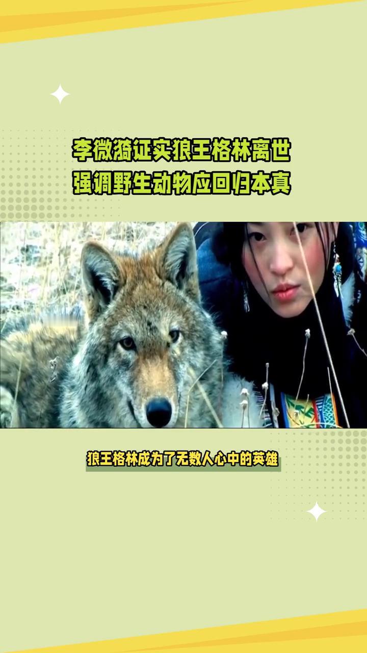 李微漪证实狼王格林离世，强调野生动物应回归本真。
致富小天子。
狼王格林终于走完