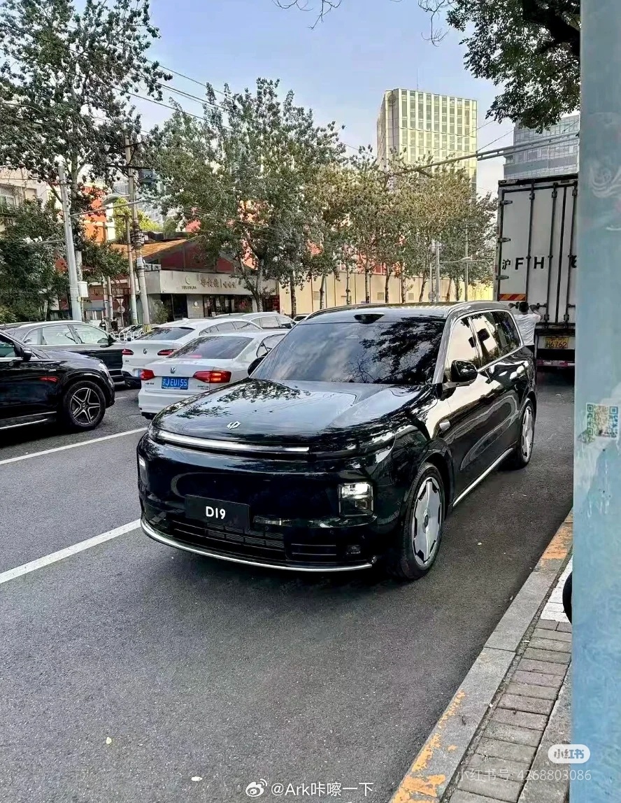零跑D19是ABCD中等级最高的，妥妥的20万级小理想L9的架势，它的目标对手八