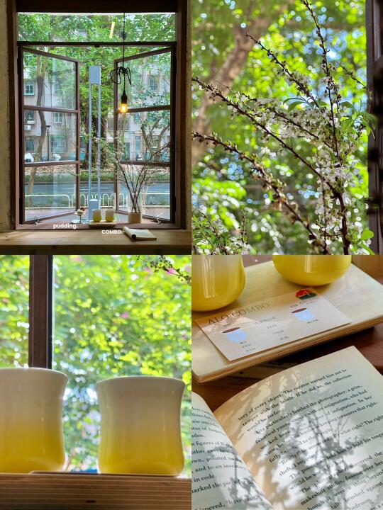 在深圳！！是infp会喜欢的春天咖啡店🍃🍵