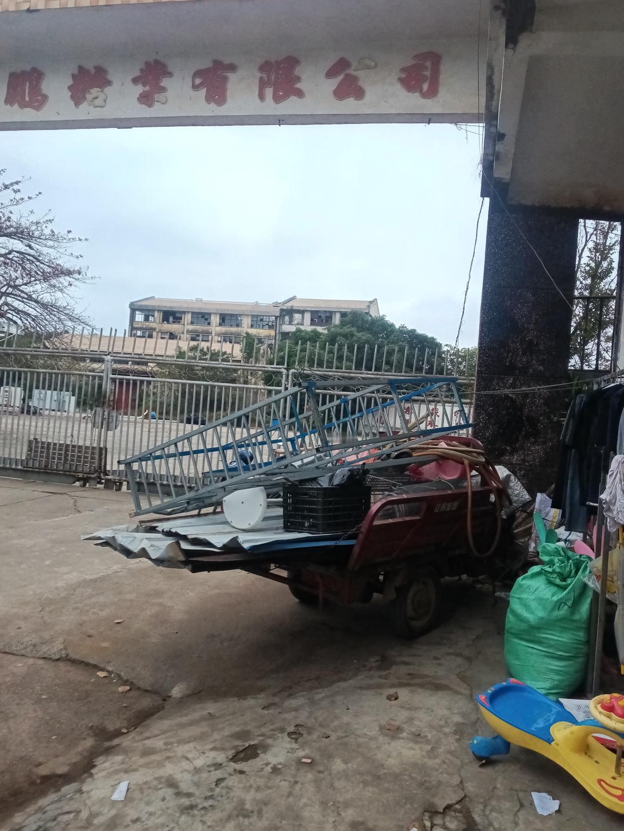 海南农业曾经遍及全岛，甘蔗，橡胶，槟榔三个发展阶段，从辉煌走向衰落，影响深远。