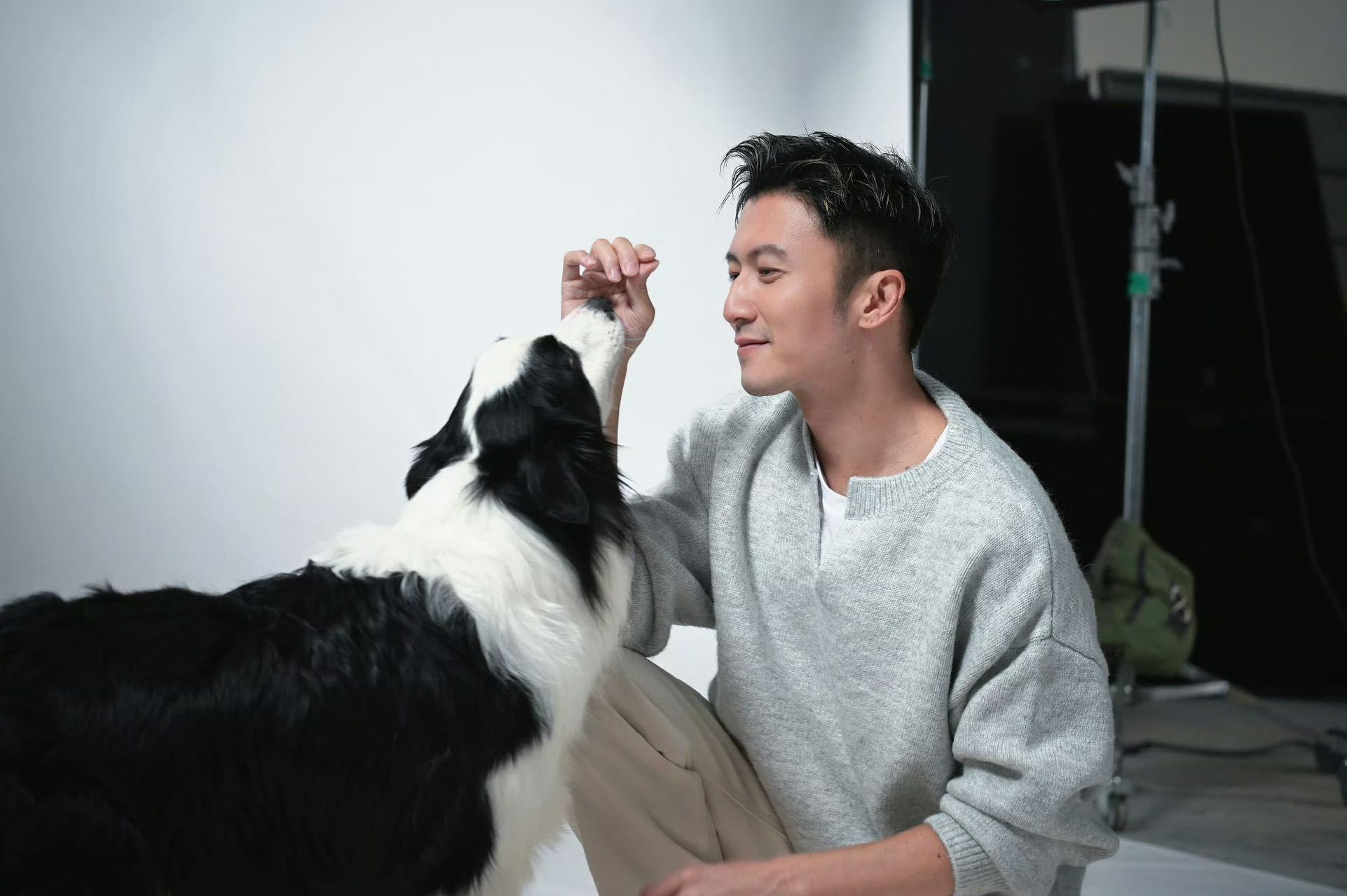 谢霆锋你也很爱毛孩子吧 被谢霆锋狠狠暖到！他看到七只狗狗跨越17公里回家的故事后