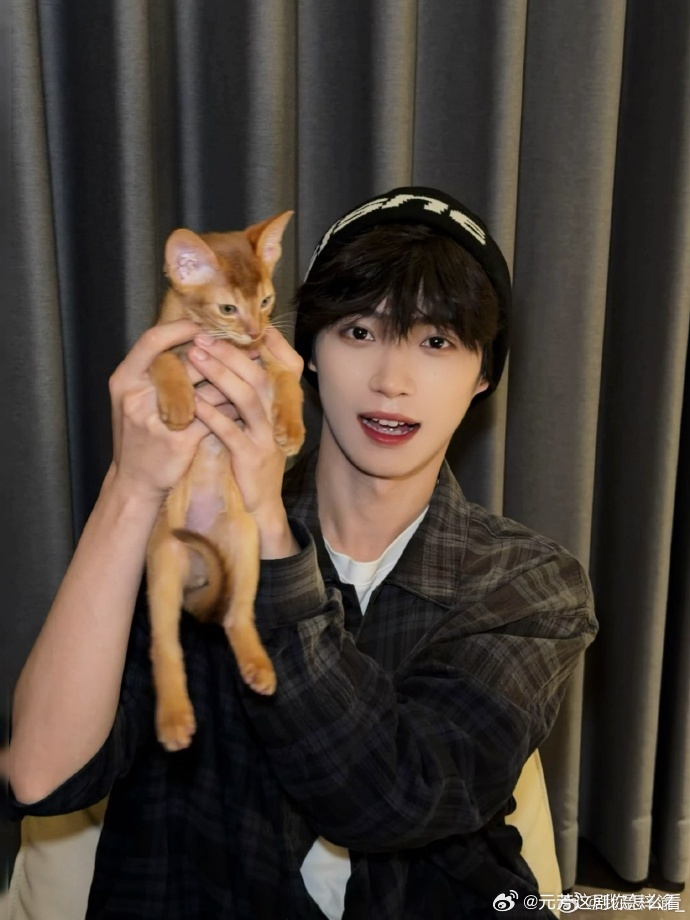 梓渝后厨照梓渝厨房ccd梓渝晒九宫格日常！CCD 镜头下后厨工装照超吸睛，与小猫