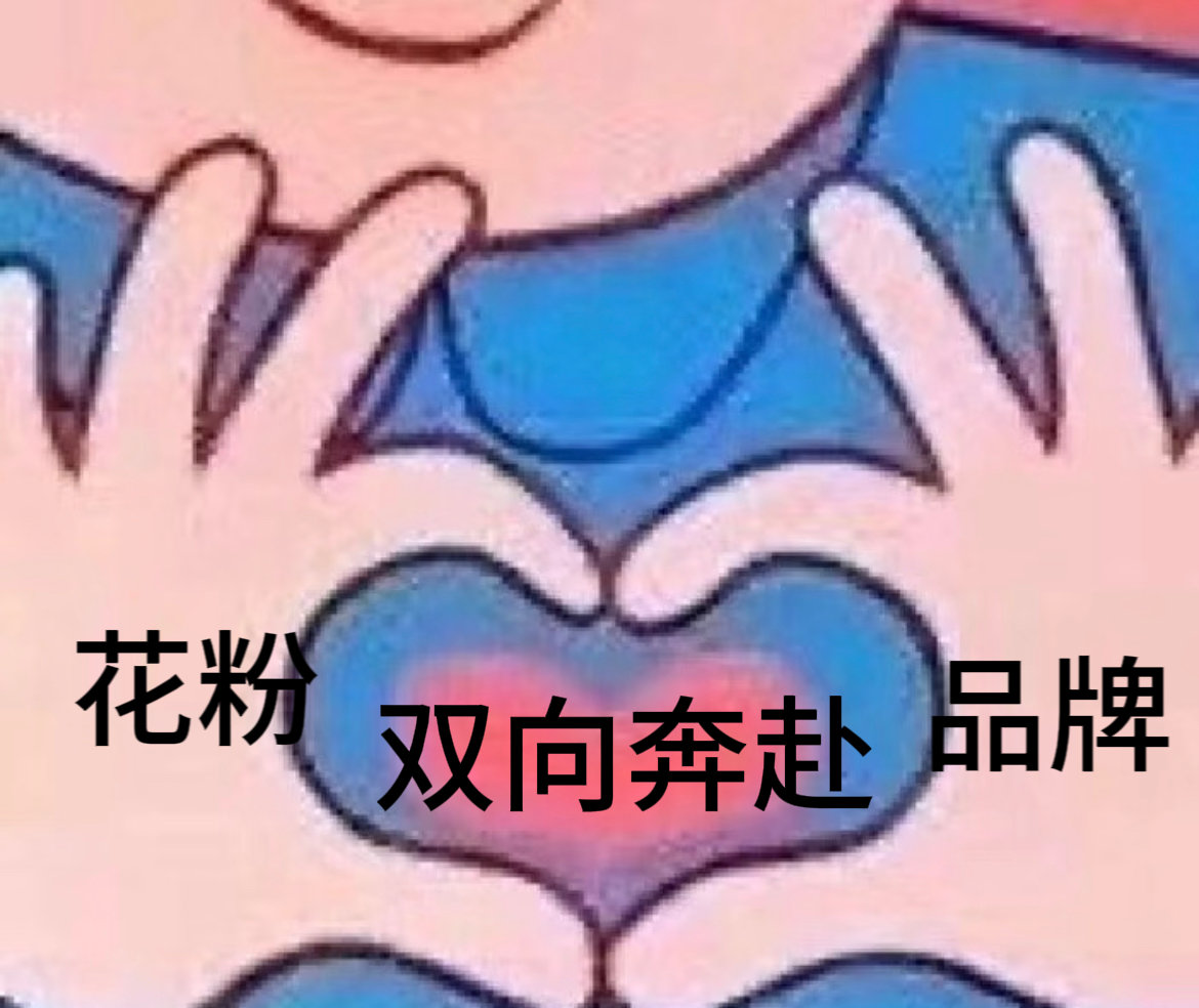 四百位花粉齐聚上海练秋湖沉浸式体验花粉游园会 这个游园会现场我看的酸到捶墙！四百