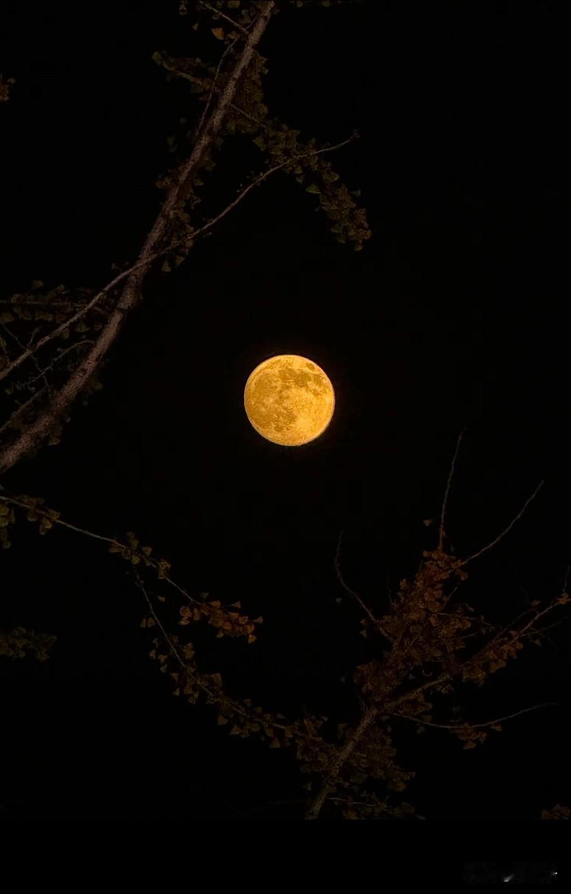 山西的夜空也有、年度最大最亮最圆的超级月亮，太漂亮了！