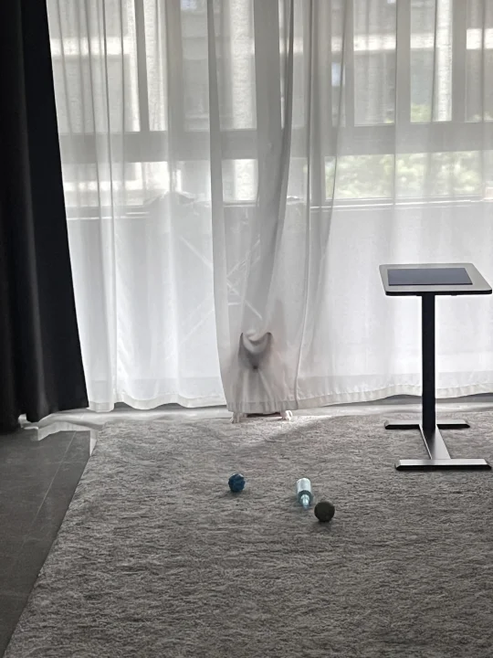 你想吓鼠我吗？