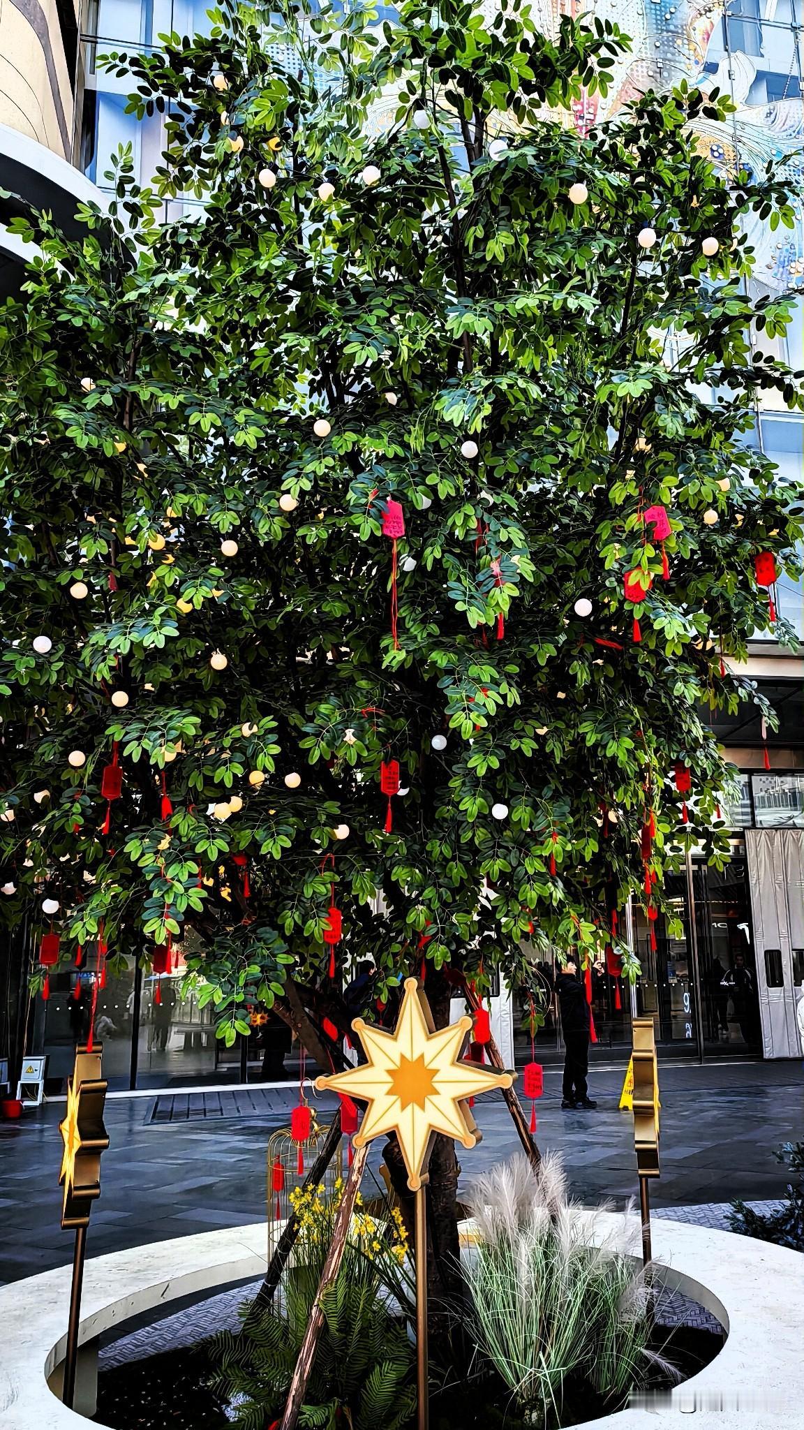 我的家乡石家庄，
到处的景色美景如画。

城市建设的越来越好，
人们的幸福指数高