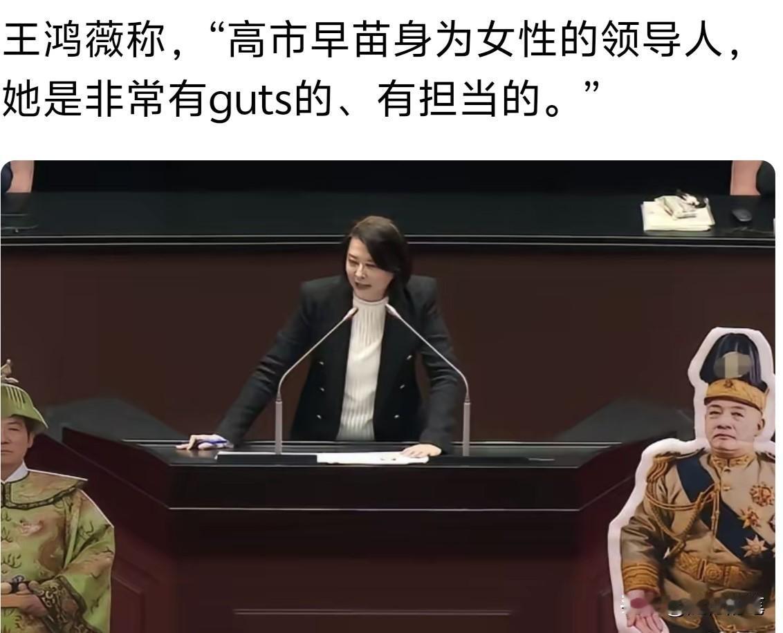 国民党当中居然真的有人是认可高市早苗的，这位王鸿薇就是其中一个。

自从高市早苗