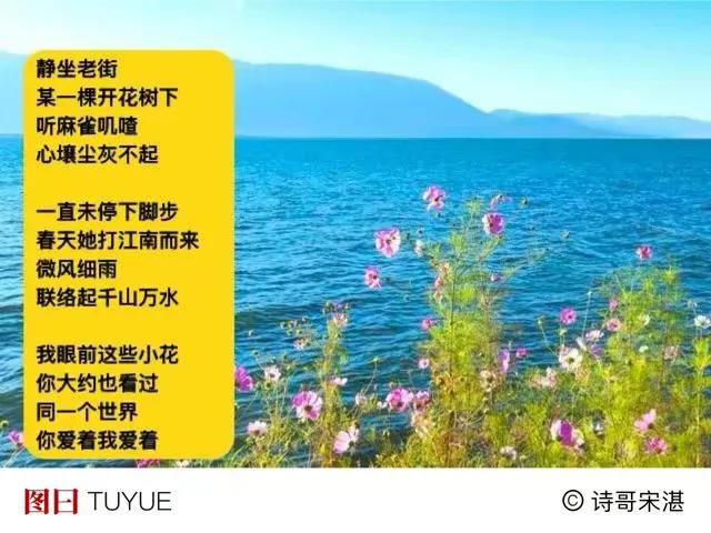 春风一缕
天上云  心上尘
都散了
．
晾衣绳上
落下只麻雀
翅膀上小颗粒阳光
