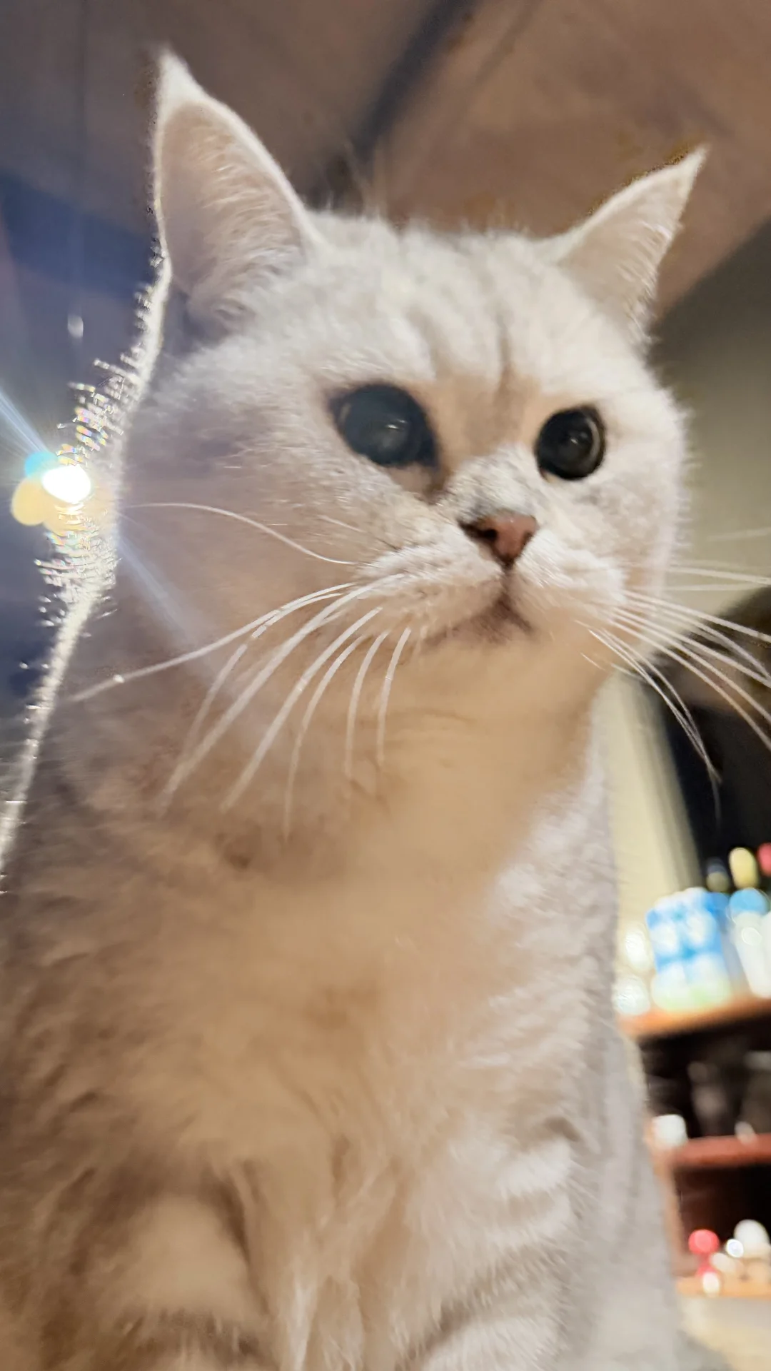 新 年 好！！！