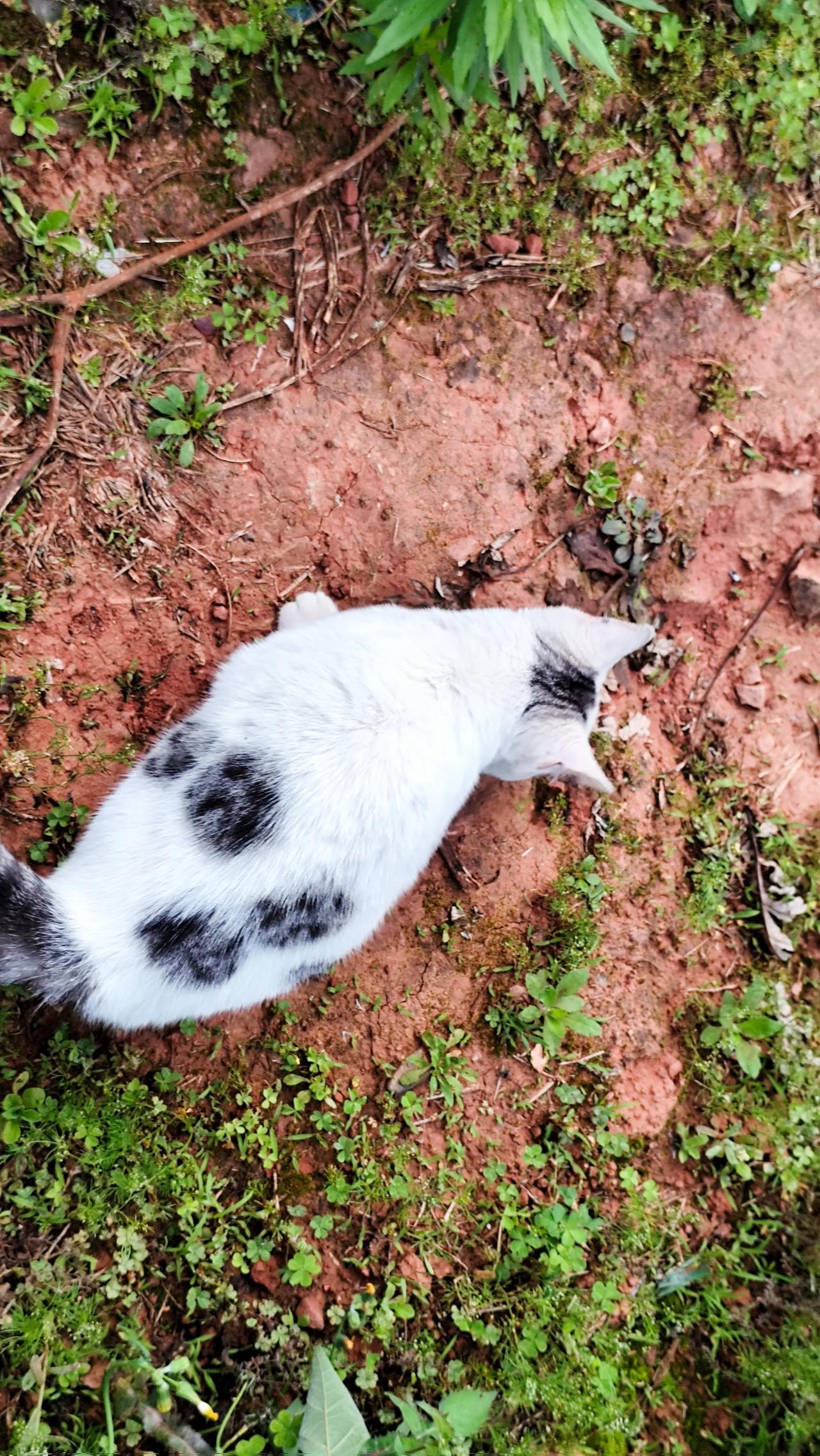晒生活点滴 家乡的风景欣赏！