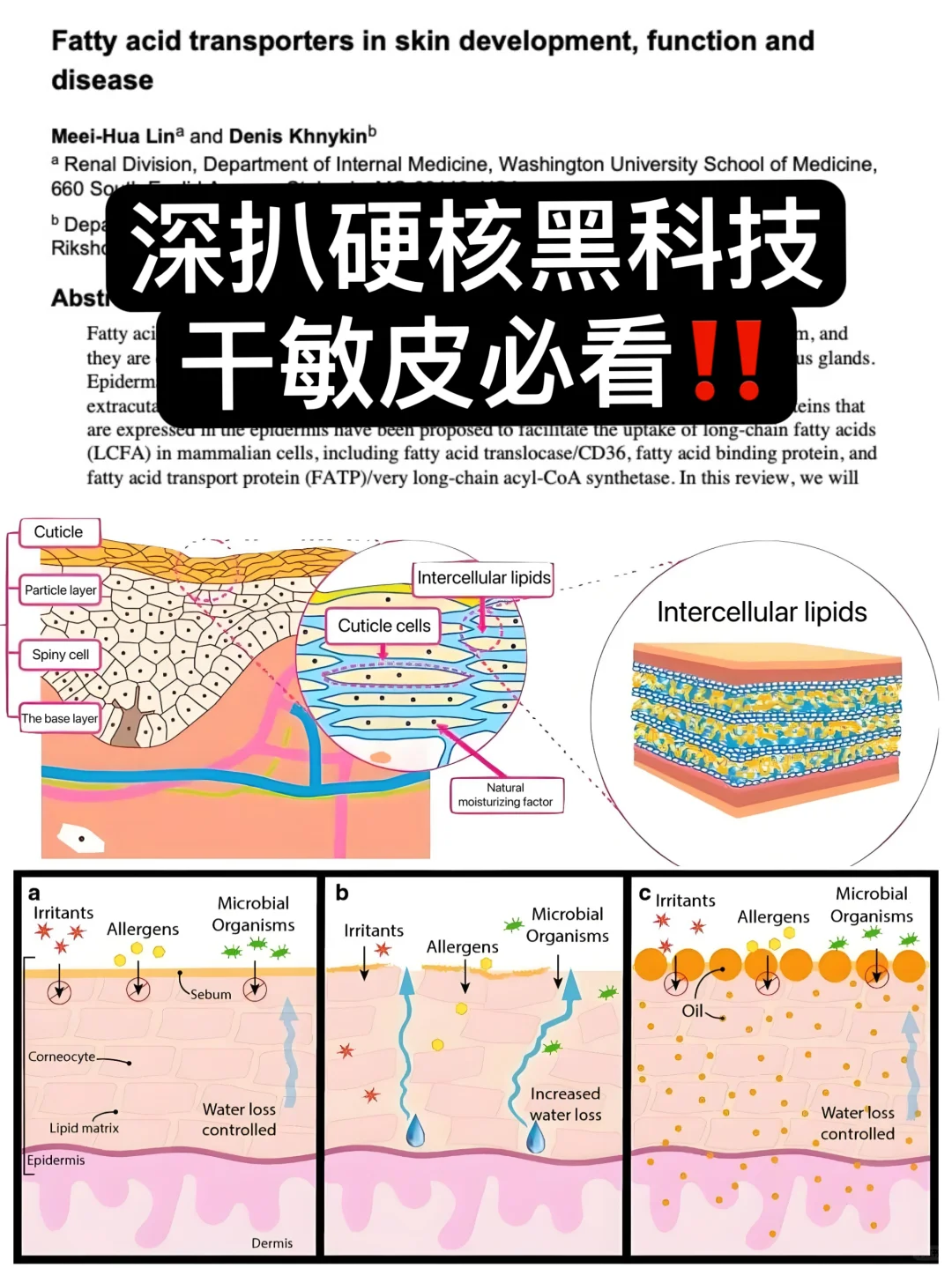 深扒硬核黑科技！干敏皮这样护肤一救一个准