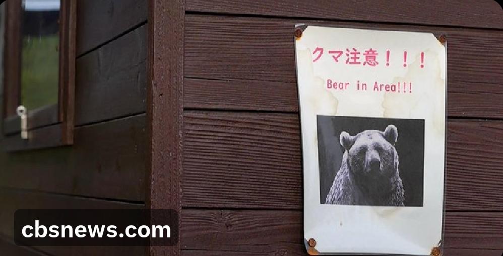 美国国务院警告在日本的美国公民保持警惕，因为该国部分地区的熊袭击事件和熊出没目击