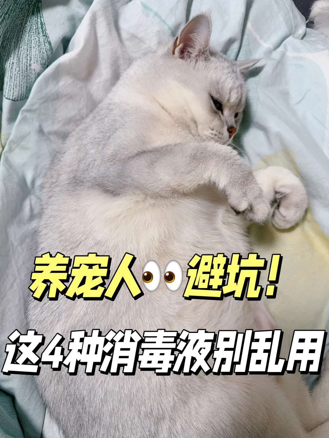宠物消毒液推荐：选错=伤害毛孩子❌