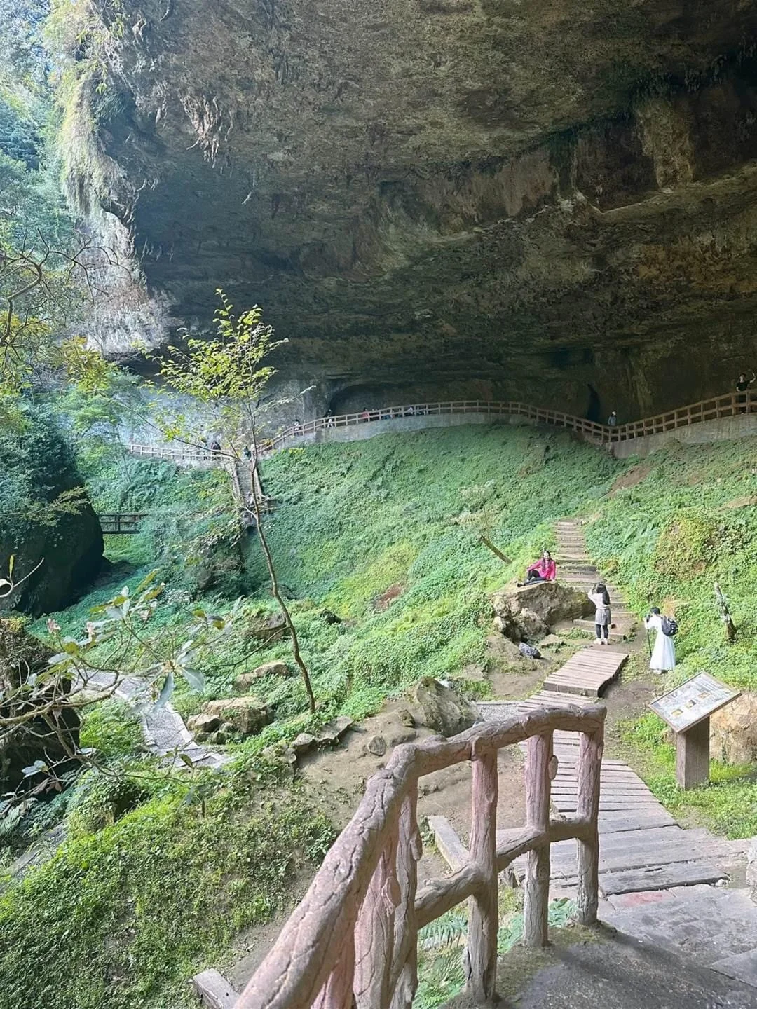 宝岛台湾的美｜台湾杉林溪🍁