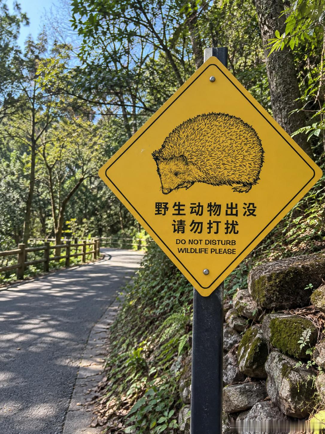 389 哦？标牌是个小刺猬哎 ​​​
