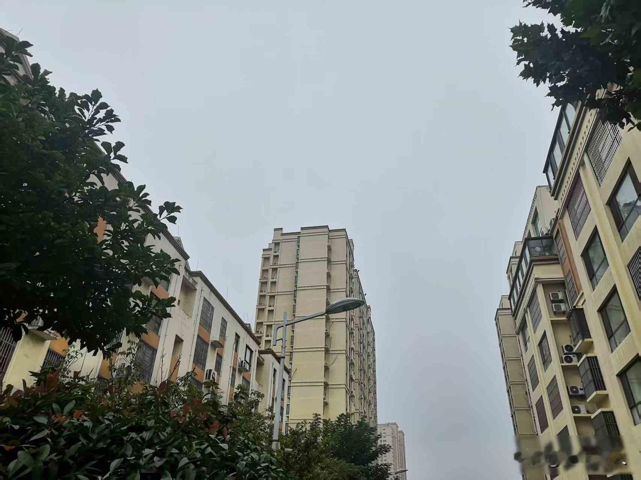 山东雨不停，老人掰玉米，地里蒜种发霉了？

山东这雨从九月下到十月，快四十天没见