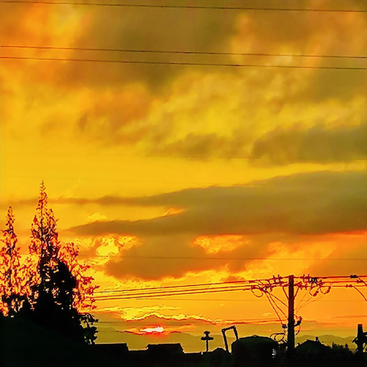 《端午节是晴天（李林6月19日摄于汉中城固）》