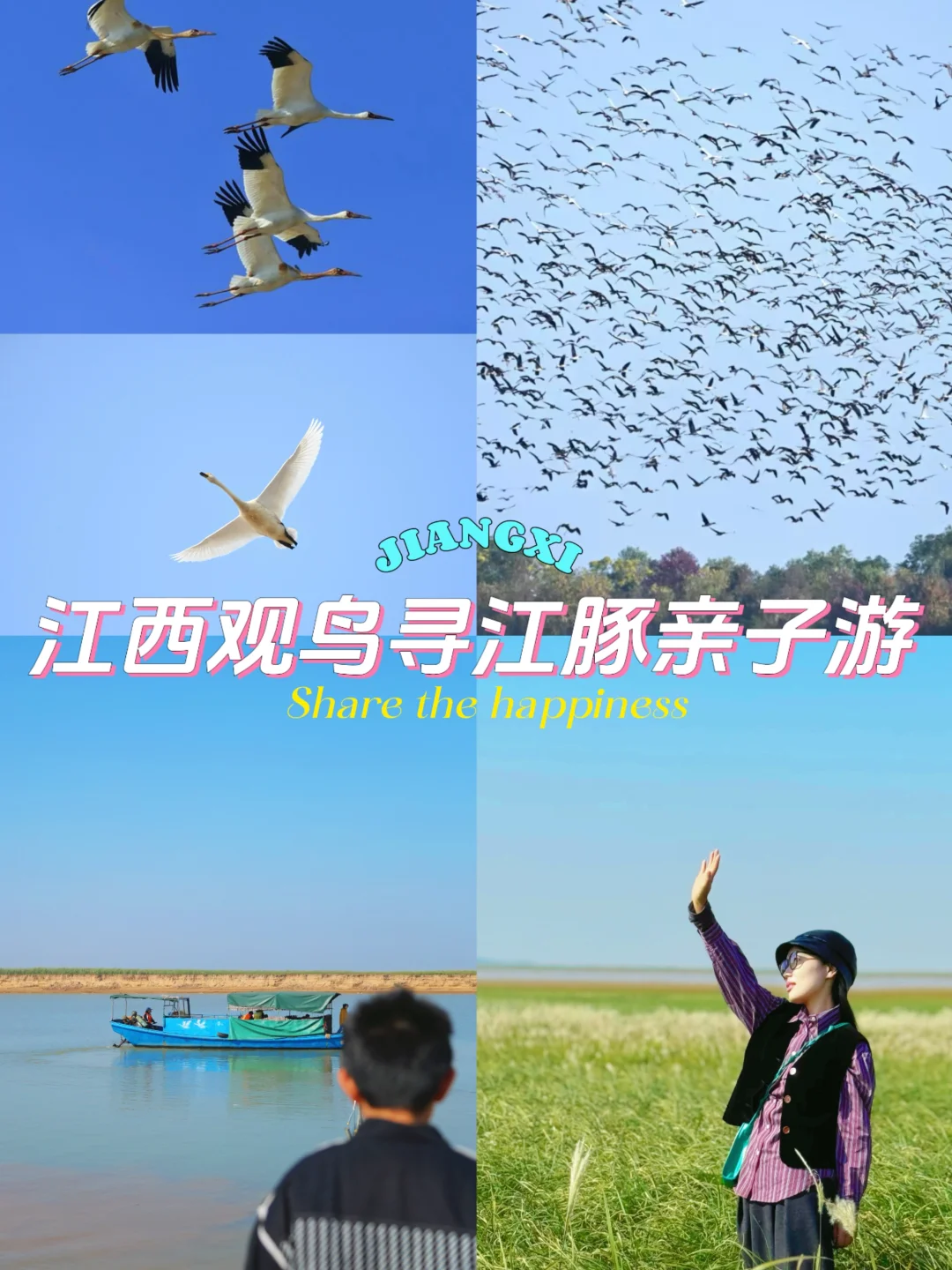 🦢江西绝美观鸟胜地，后悔没早点来‼️附攻略