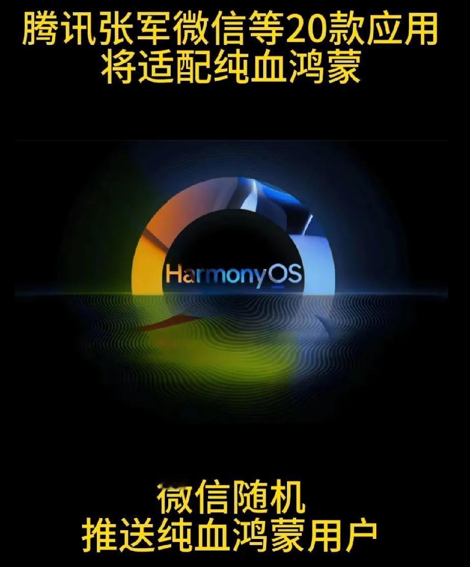 这是举国上下支持国产鸿蒙操作系统啊！以后终于可以不买外国系统的手机壳，只要我们自