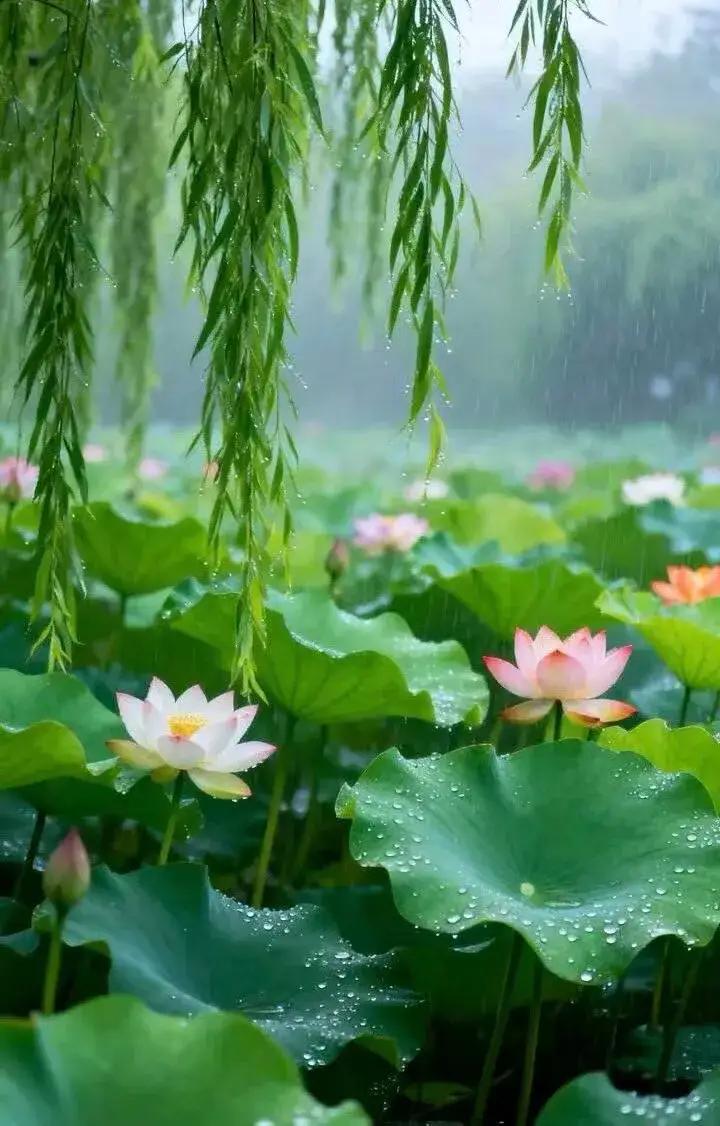 上联：夏雨荷花艳；
下联：秋风桂子香。