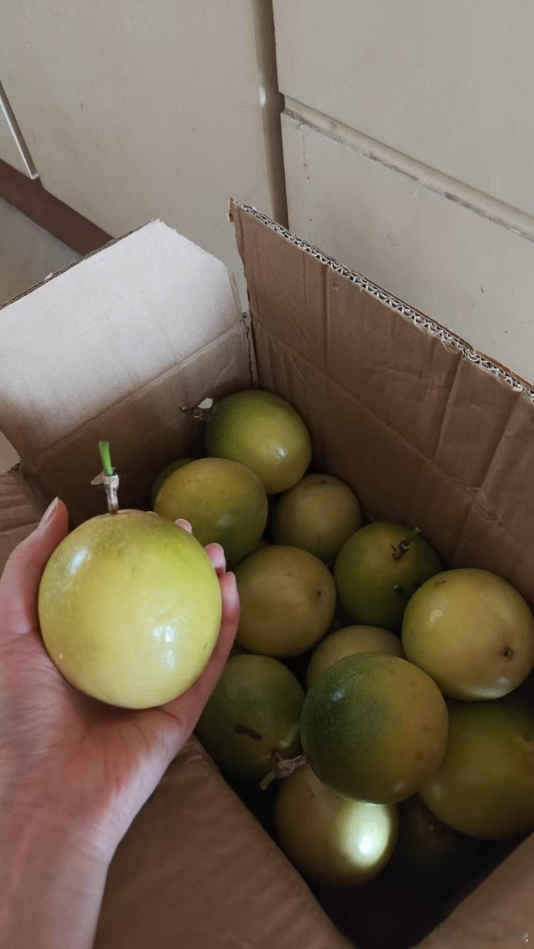 好品质 看得见钱钱哥不骗钱钱粉[春游家族] ​​​