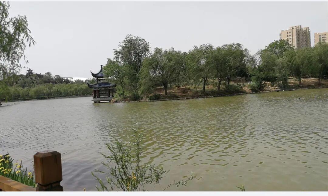男人请记住：除了老婆，外面的女人再好，别招惹
 大家好！我是灵儿老师，欢迎您来到