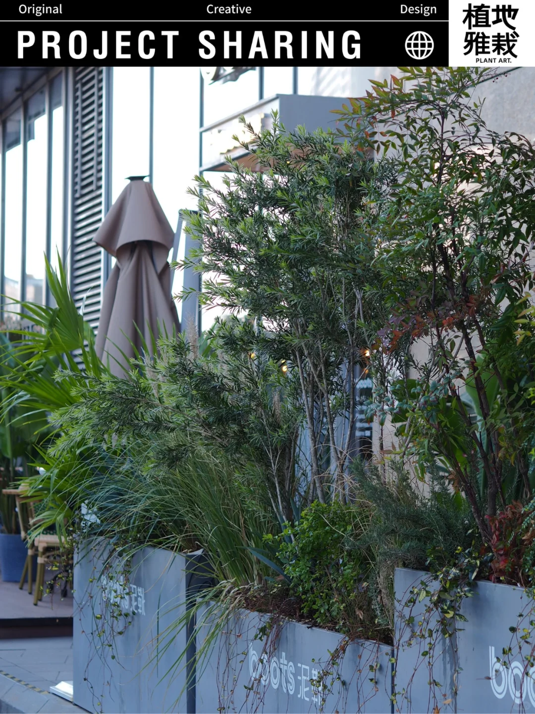 植地雅栽｜泥靴 外摆植物景观设计