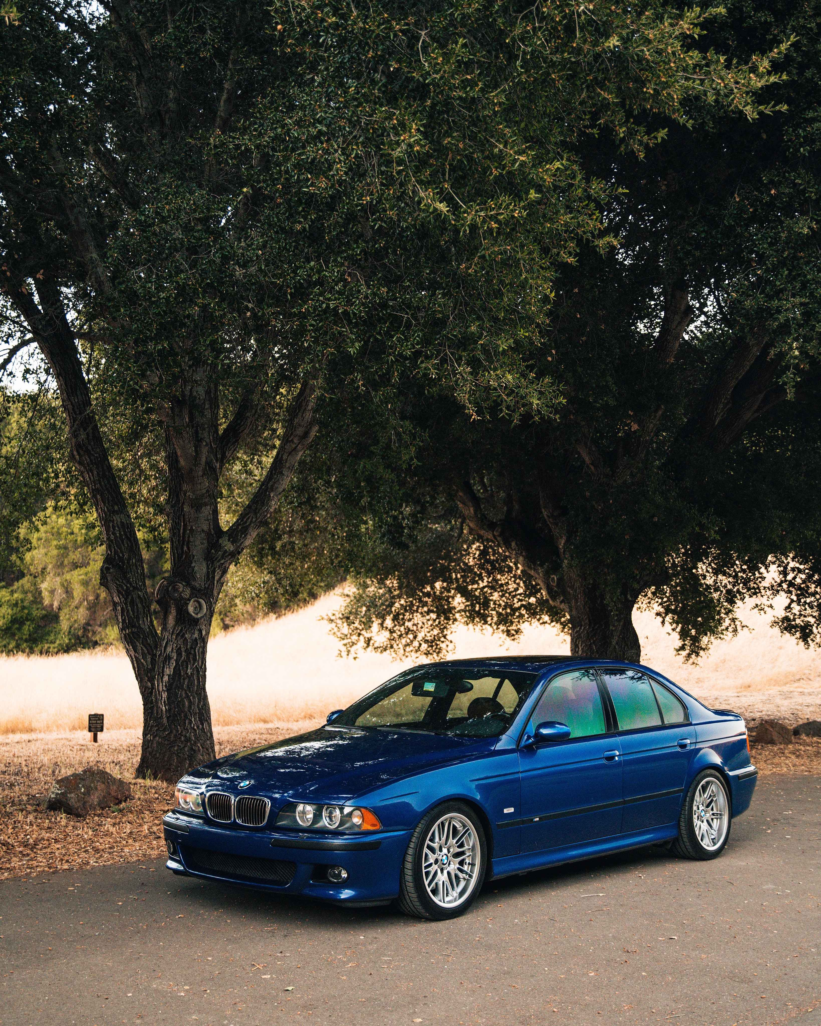 勒芒蓝E39 bmwclassic