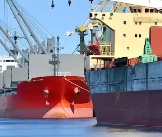 当一船满载6.9万吨巴西大豆的货轮靠泊江苏泰州码头时，谁也没想到，大豆中混入了约