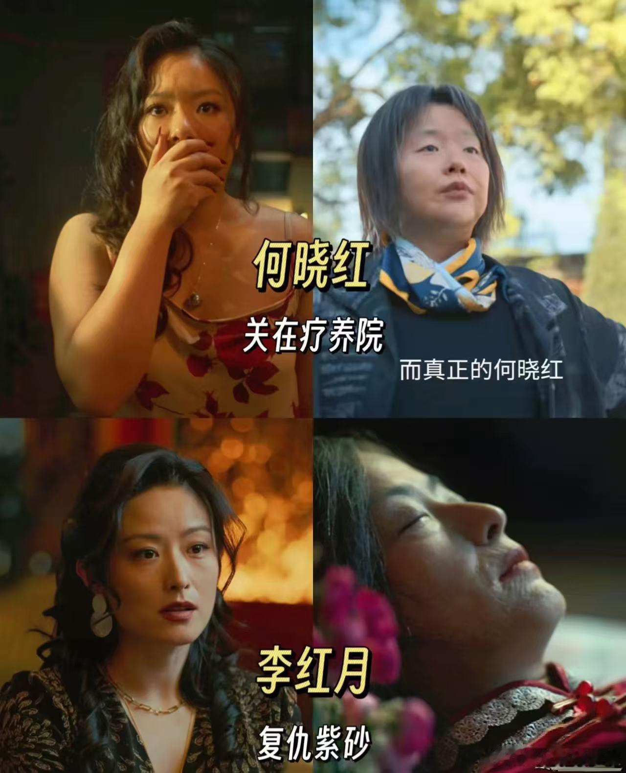 狠心的爸复仇的妈和心碎的她 李红月在黑暗里独自挣扎，怀着身孕踏上复仇之路，她没有