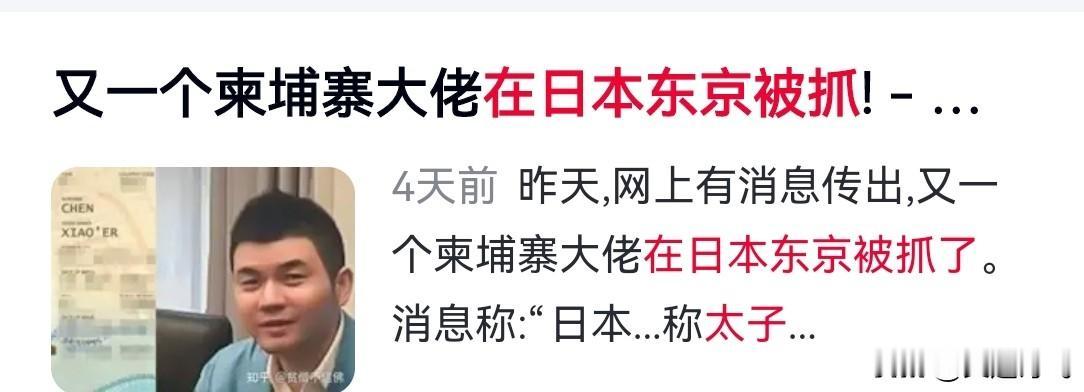 柬埔寨太子集团又一名高管(胡石)在日本东京4天前被逮捕。
据日媒今日报道，东京警