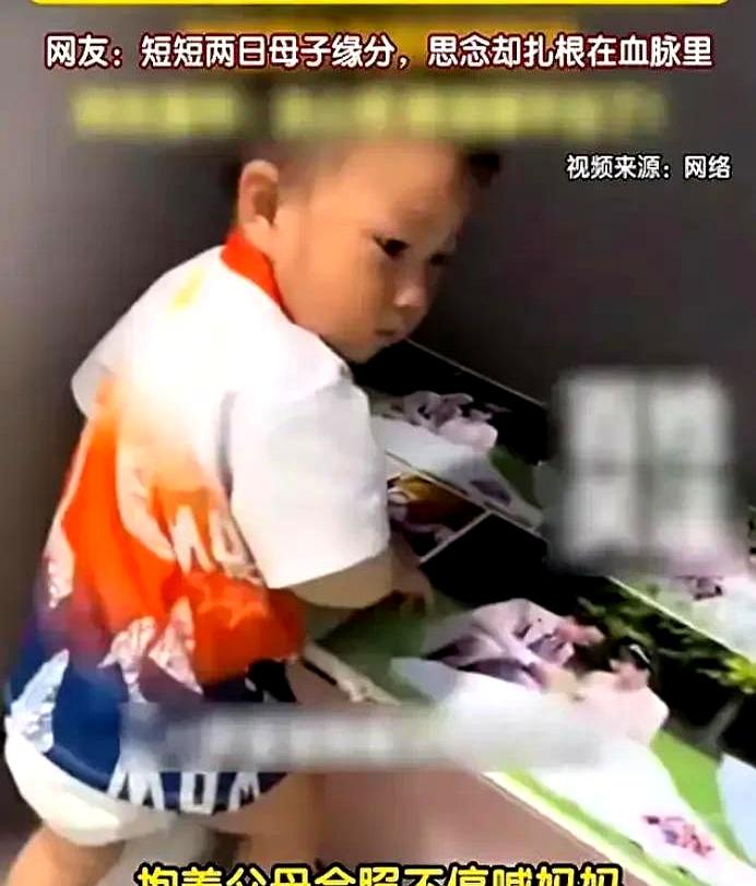看见他把脸贴在冷冷的相框上，小胳膊死死箍着，奶声喊“妈妈”时，人心都跟着一紧。