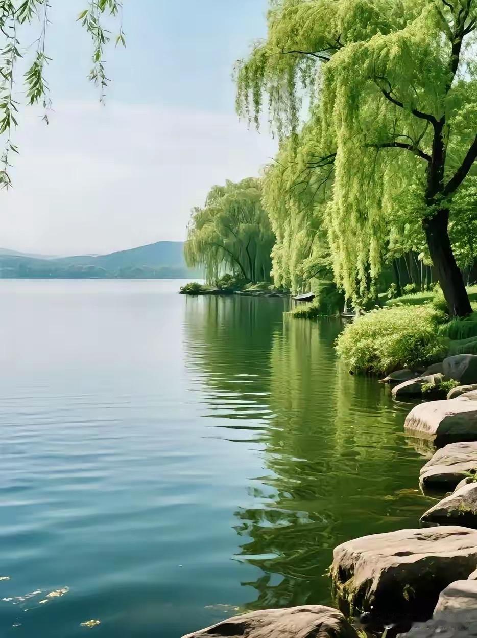 江河湖海皆是水，
竹菊梅兰都叫花。
横批：《水与花》