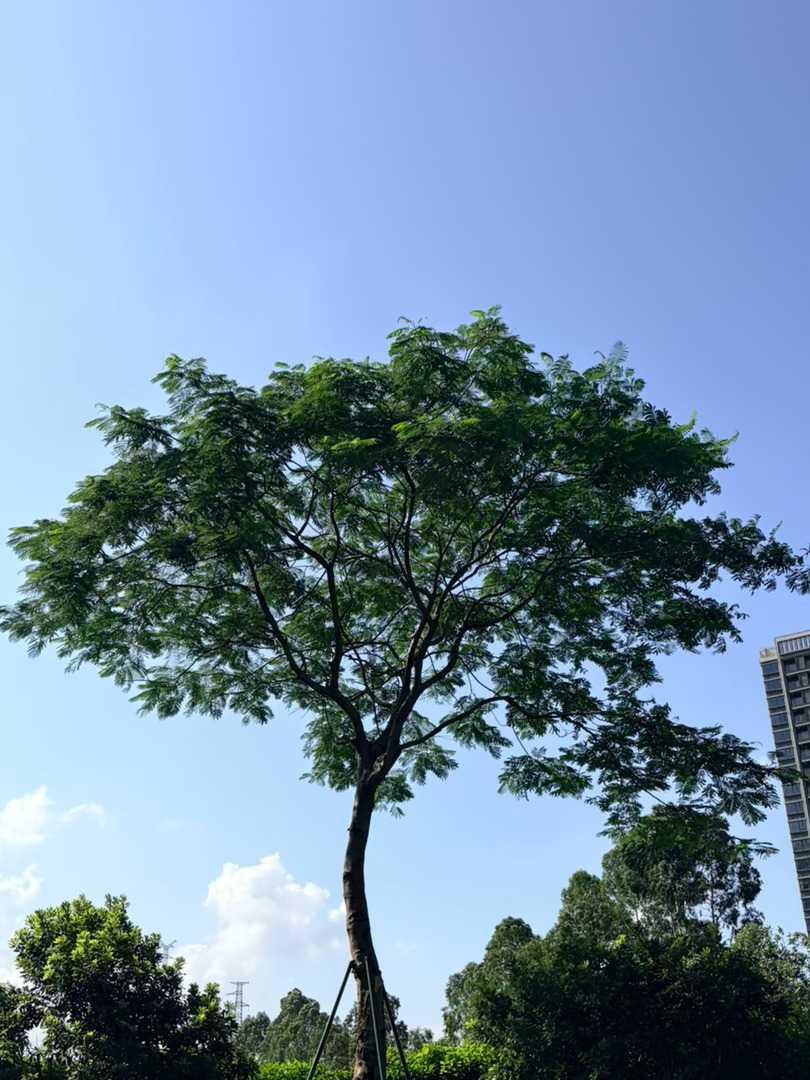真的再也不敢随便生闷气了，上个月长期情绪压抑，一个月来了两次月经，吓得我赶紧去医