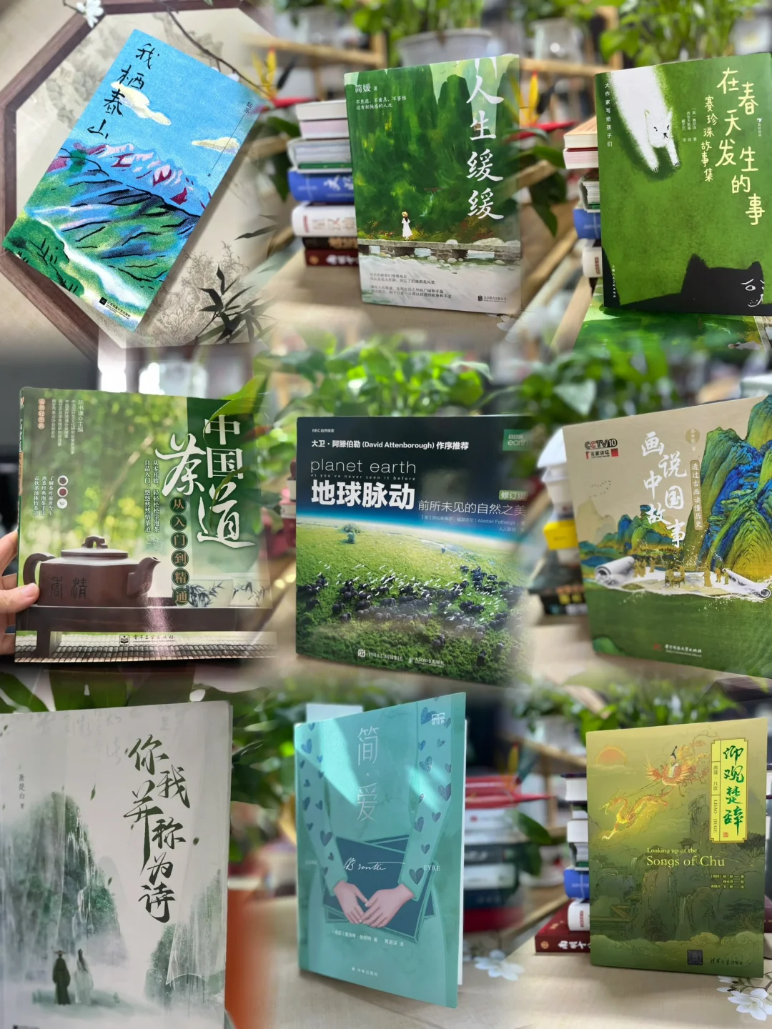 绿色书单｜在书里“清凉一夏”