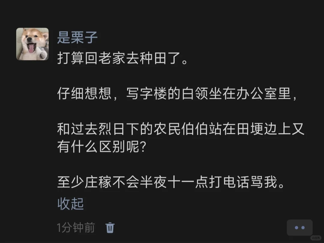 打算回老家去种田了。