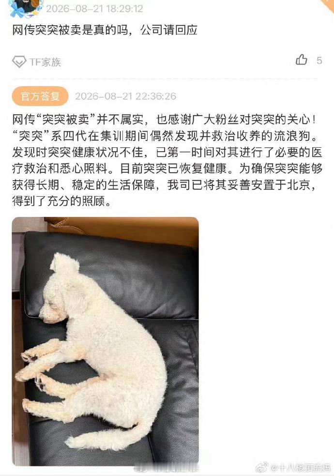 时代峰峻否认流浪狗突突被卖时代峰峻否认流浪狗突突被卖👇 