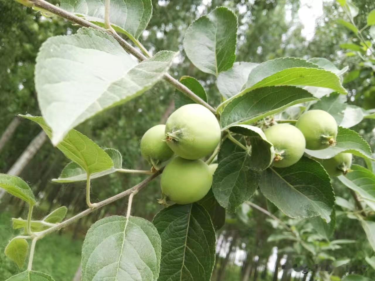 能不能表达一句今生的感悟别把丧气话当护身符，张口就说我没钱我很穷，这种自我诅咒的