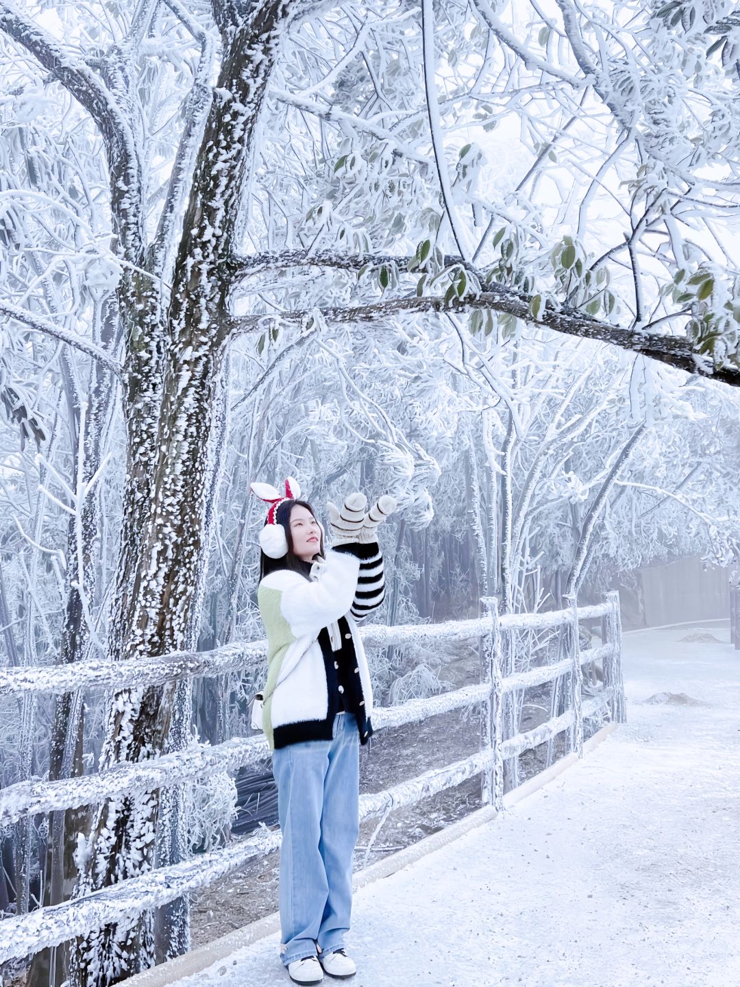 不用去东北｜广州周末1.5h直达莽山冰雪世界