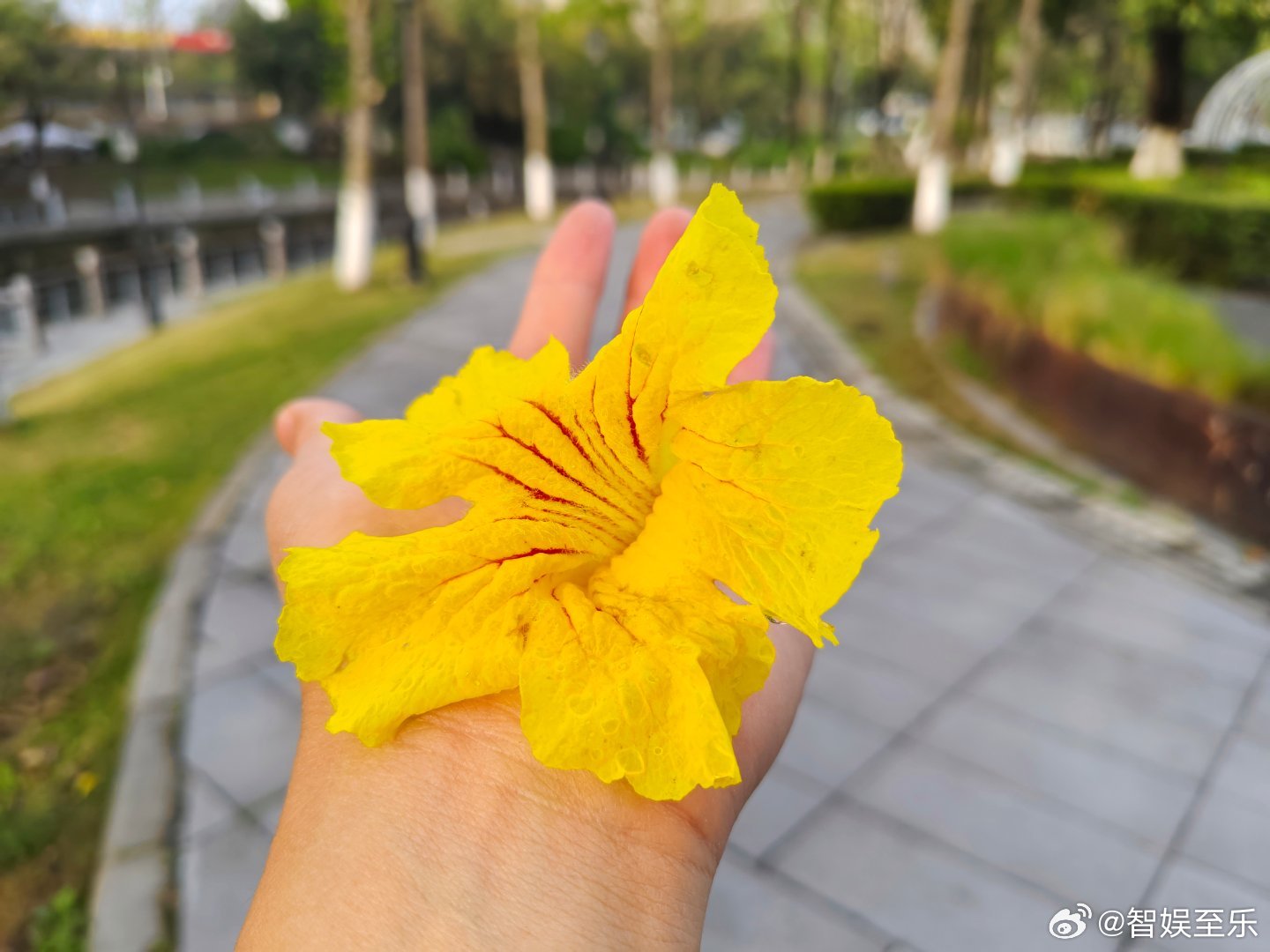 春雨沉醉的夜晚艳阳高照的清晨蓉城春雨最贴心，夜润昼晴万物盛。 